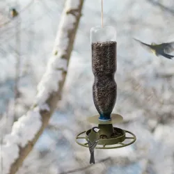 3D model – Bird feeder