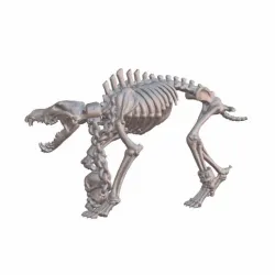 Animal - DWOLF 3