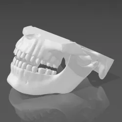Articulated jaw / articulated jaw