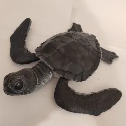 articulated turtle print in place, one piece