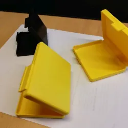 Case