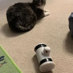 Cat Toy feeder