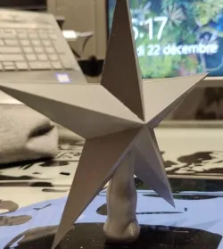 Christmas star / étoile de Noël