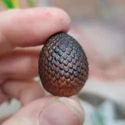Dragon egg