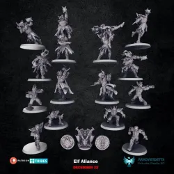 Elven Union Fantasy Football Team