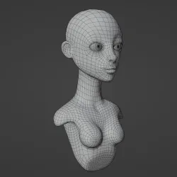 female bust