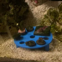 Frag  Rack
