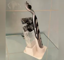 Holder for razor and razor blades