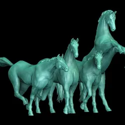 Horse 3D poses