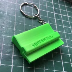 Key ring keychain