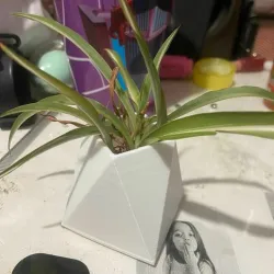 Planters