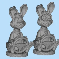 rabbit motorist