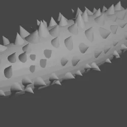 Sea Cucumber