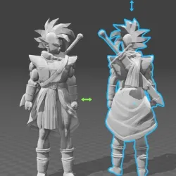 Tapion
