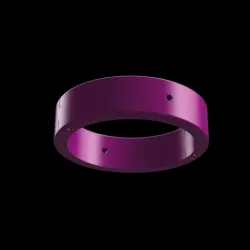 BDSM - Anklets