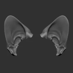 BJD cat ears