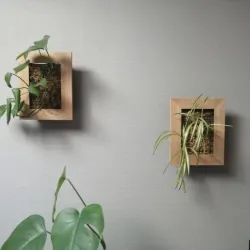 Cadre végétal / Green Wall