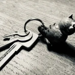 Cat Key Chain
