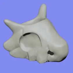 Cubone Skull Planter
