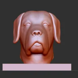 Dog face