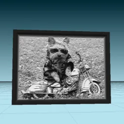 dog holding motor cycle