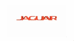 Dual ILLUSION Jaguar  - Jaguar Logo