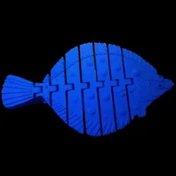 flexi Flat fish