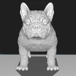 French bulldog (scalable)