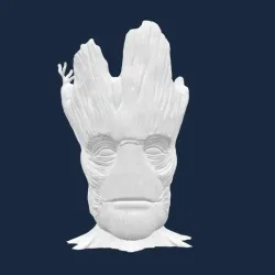Head groot