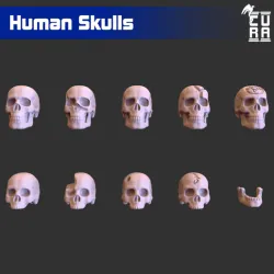 Human Skulls pack