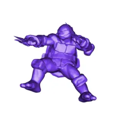 Ninja Raphael