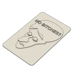 NO BITCHES? MEME CARD