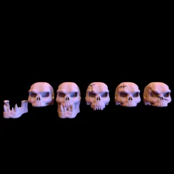 Ork Skulls