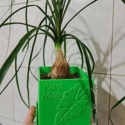 Plant Mom planter