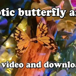 Robotic moving micro butterflys