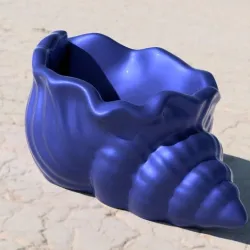 Shell Planter