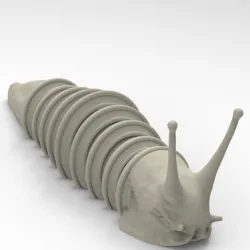 Snail caterpillar
