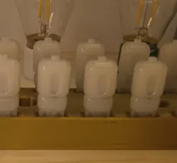 Storage incandescent lamps G9