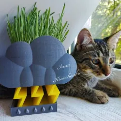 Thunder cloud planter