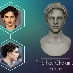 Timothee Chalamet bust sculpture 3D print model