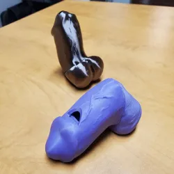Whistle-Chode: A Dick Slide-Whistle