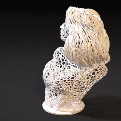 Wonder Woman bust