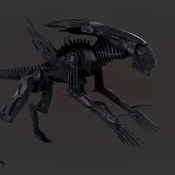 Xenomorph