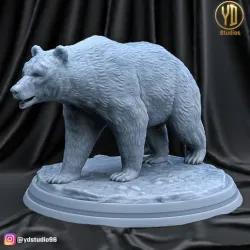Bear