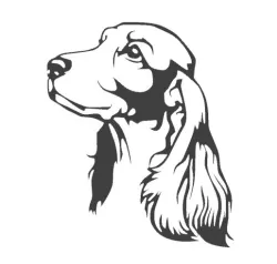 Cocker