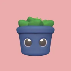Cute Succulent Plant