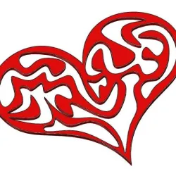 Heart / Heart