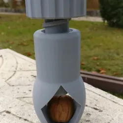 Nutcracker ( Nutcracker )