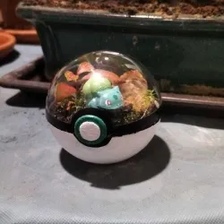 pokeball, terrarium, pokemon