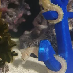 Ship anchor and chain